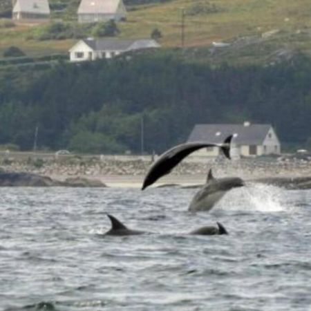 The Chalet Town Centre Dungloe Bagian luar foto