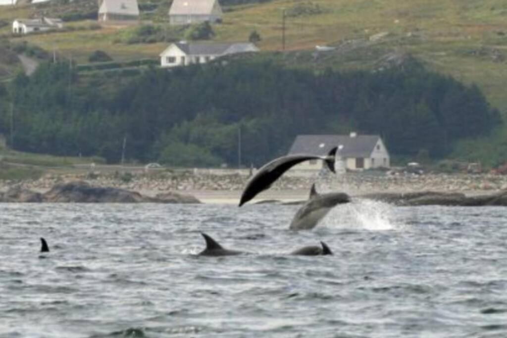 The Chalet Town Centre Dungloe Bagian luar foto